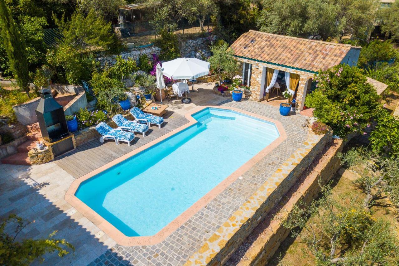 Appartement De Caractere Le Camelia, 56M², Dans Propriete Au Calme Avec Piscine By Le Mas De Louise Et Sacha Solliès-Toucas Eksteriør bilde